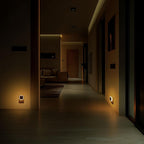 Dusk to Dawn Plug-in Night Light